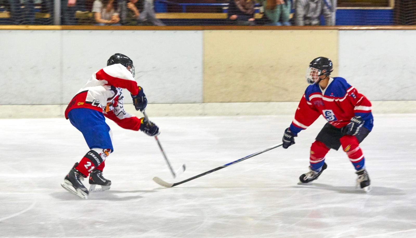 DPL Finale 2017 0012 1